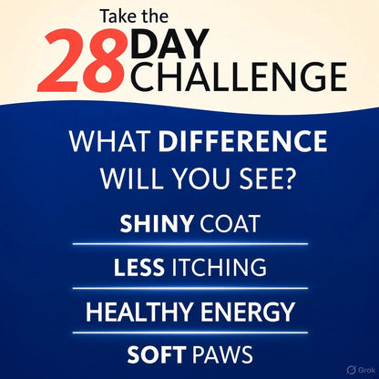 Brilliant Salmon Oil™ - Daily Coat & Joint Support