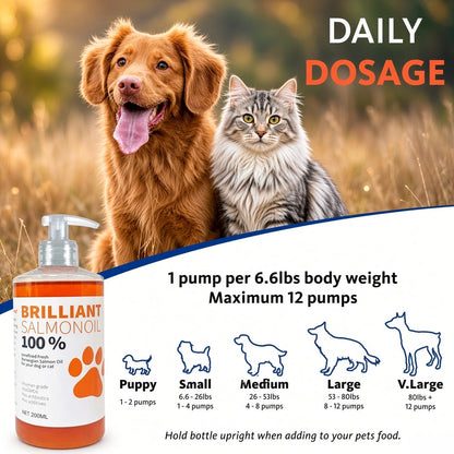 Brilliant Salmon Oil™ - Daily Coat & Joint Support