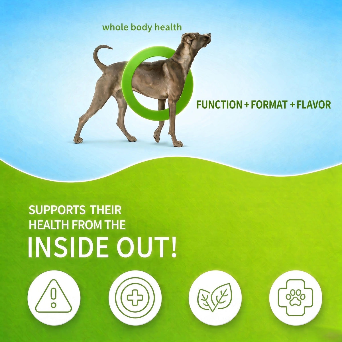 Brilliant Salmon Oil™ - Daily Coat & Joint Support