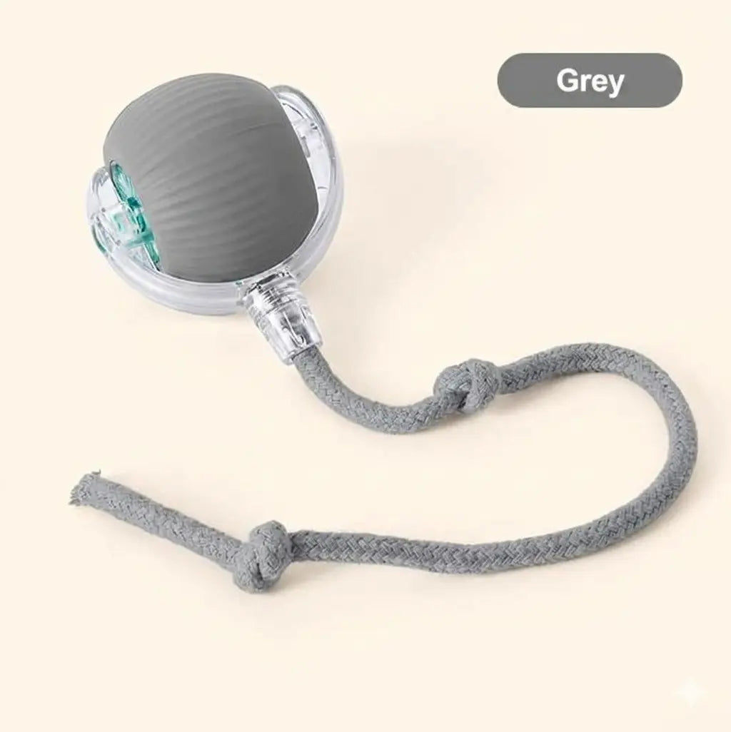 ZoomBall™ 2.0