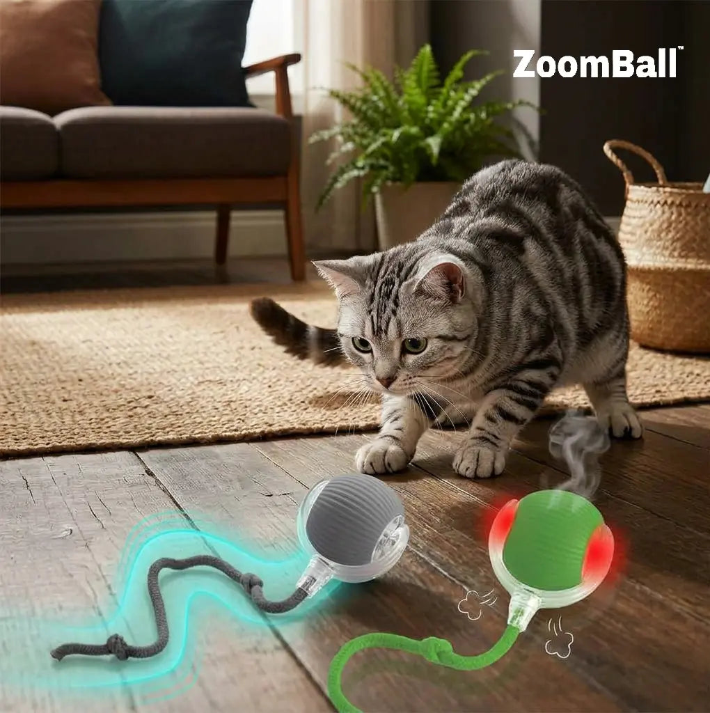 ZoomBall™ 2.0